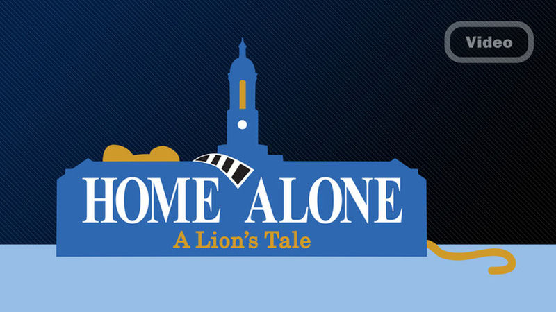 Home Alone - A Lion’s Tale