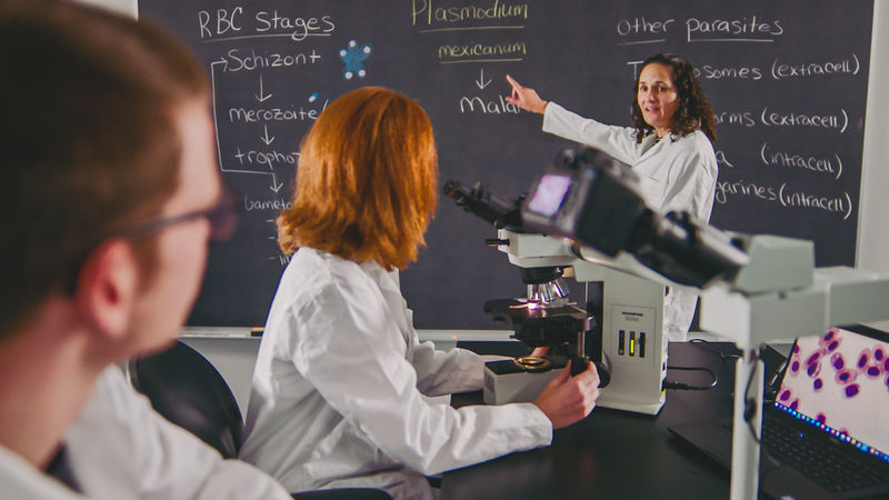 A professor at a black board with two students observing