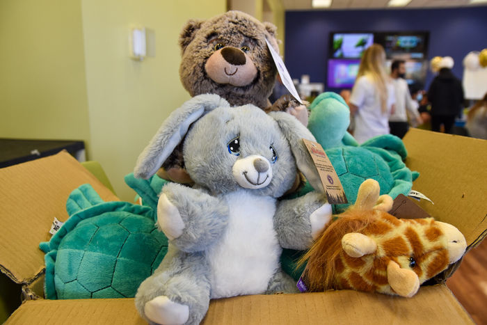 STack of stuffed animals wearing Penn State York T-shirts