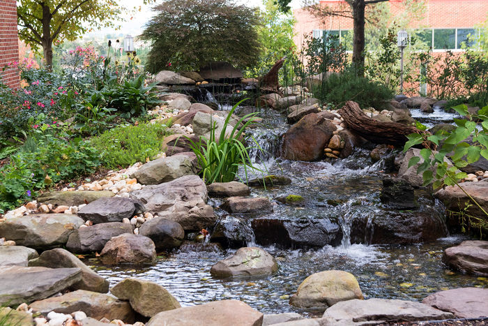 A small landscaped pond with waterfall outside the Main Classroom Building.