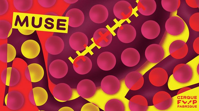 Flip Fabrique Muse