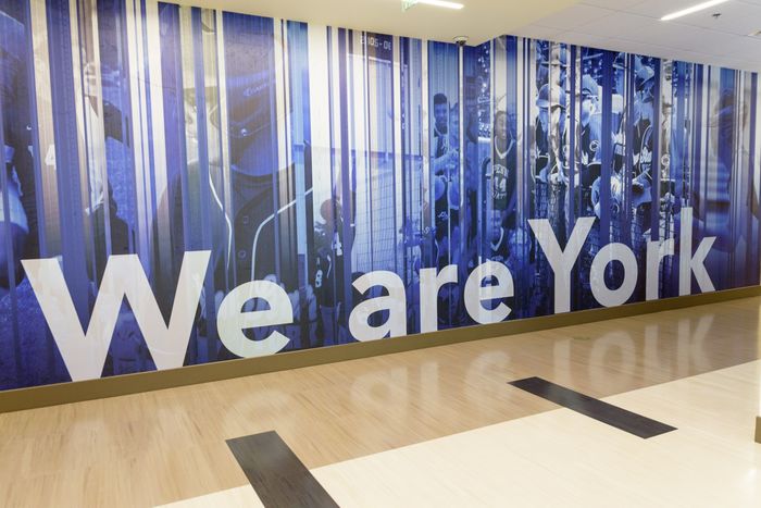A highly stylized mural with photos and the text "We are York"
