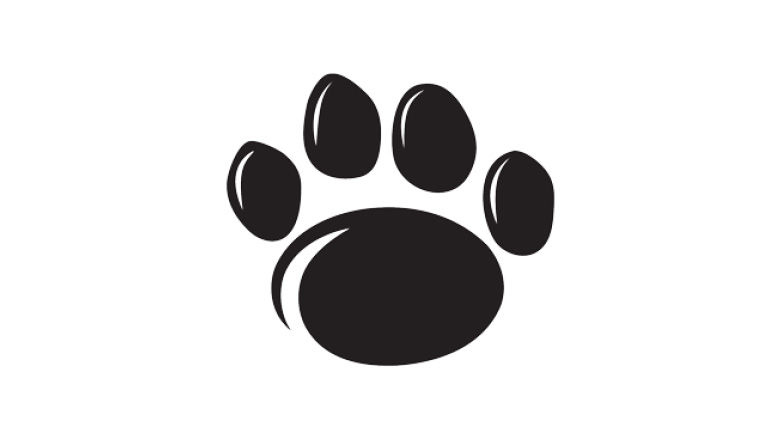 Penn State Paw Print black