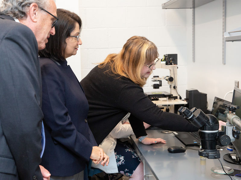 Individuals looking at lab specimens 