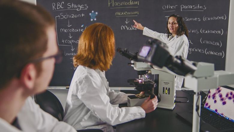 Faculty member at blackboard in front of students