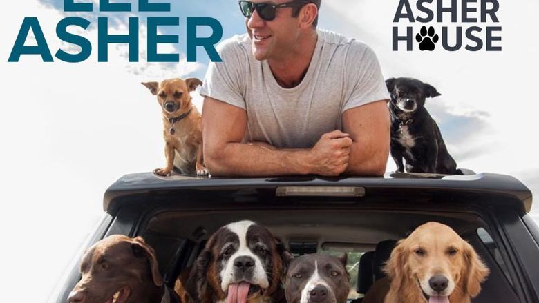 Man on top of his car surrounded by dogs