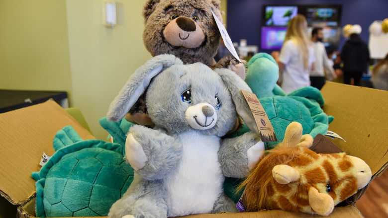 STack of stuffed animals wearing Penn State York T-shirts