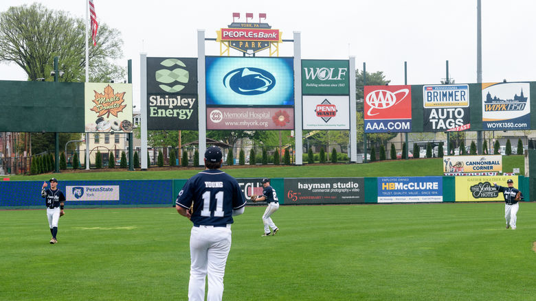 York Baseball