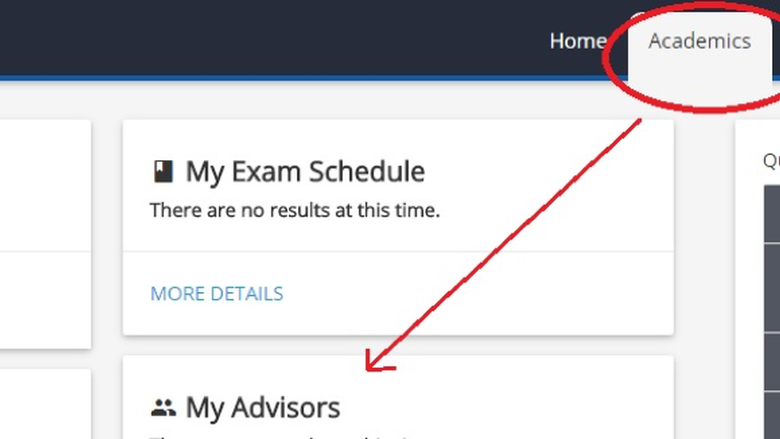 Academic adviser screenshot from LionPath