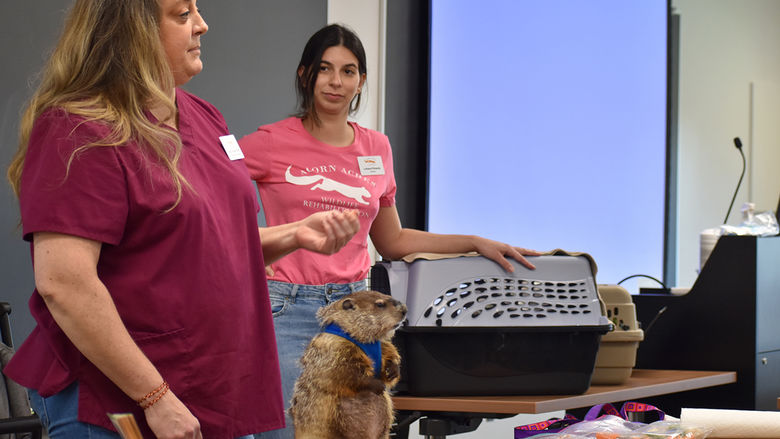 Representatives from Acorn Acres Wildlife Rehab visiting campus to introduce their furry friends to the Biology Club.