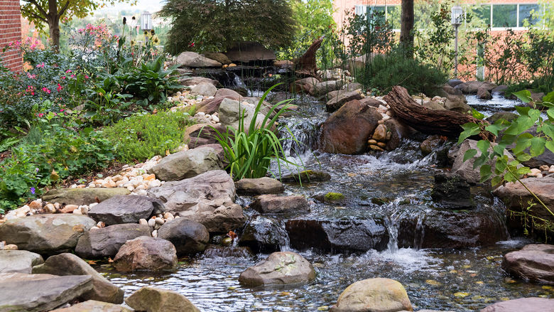 A small landscaped pond with waterfall outside the Main Classroom Building.