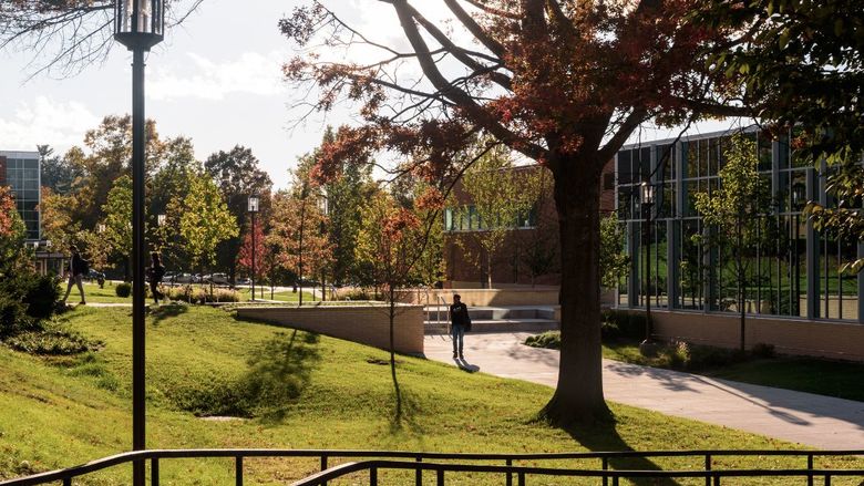 Trees with fall-colored leaves outside the Ruhl building.