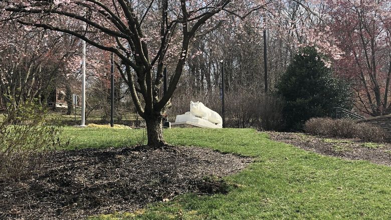 Penn State Nittany Lion Shrine at te top of a hill.