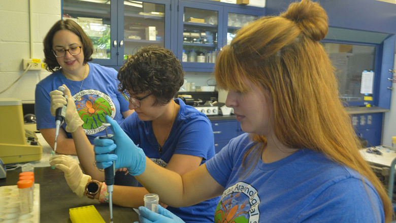 Petko Lab