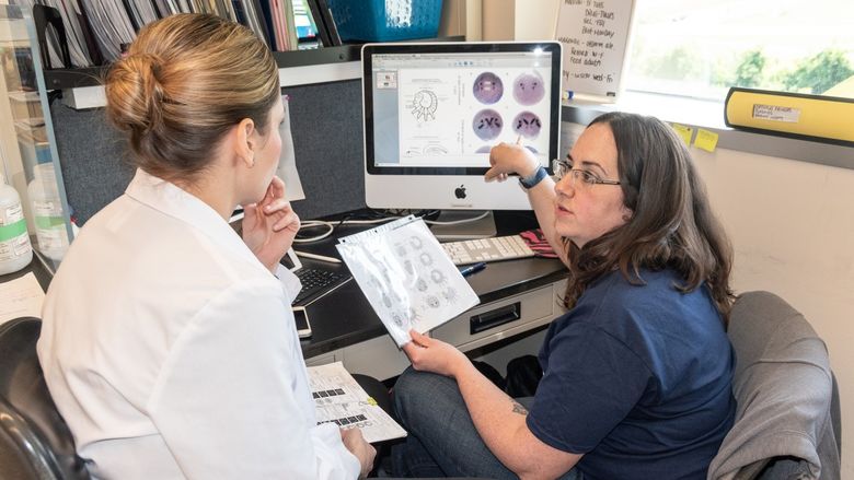 Dr. Jessica Petko working with a student.