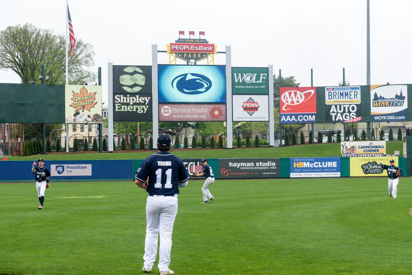 York Baseball