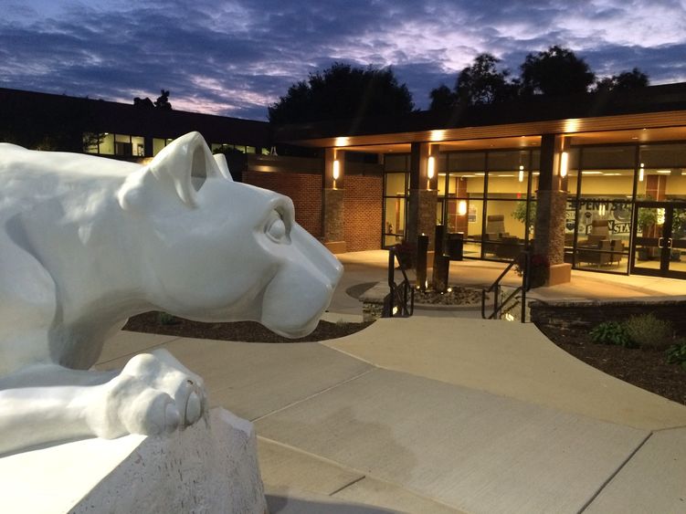 York Evening Lion