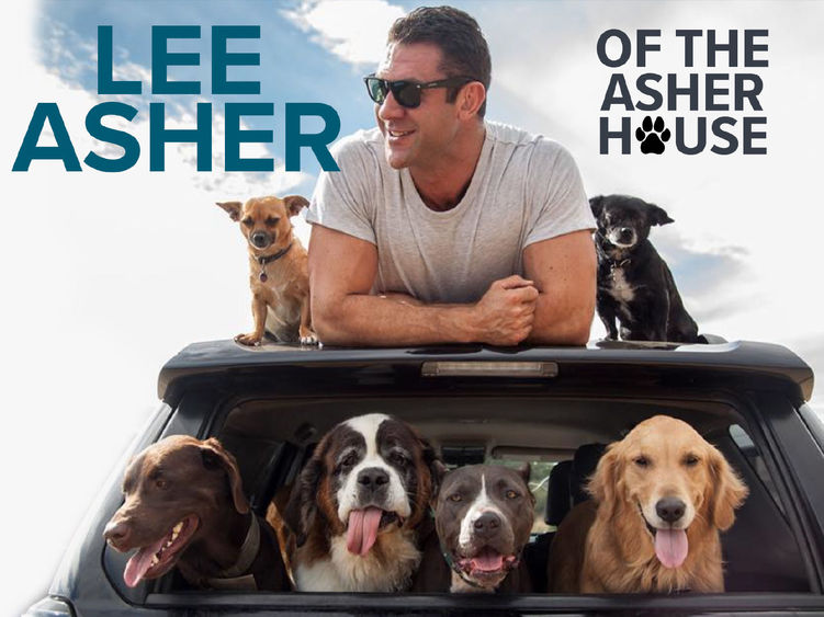 Man on top of his car surrounded by dogs