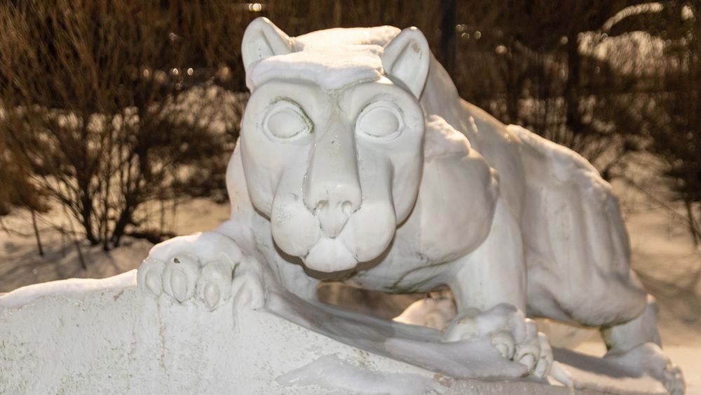 York Snow Lion